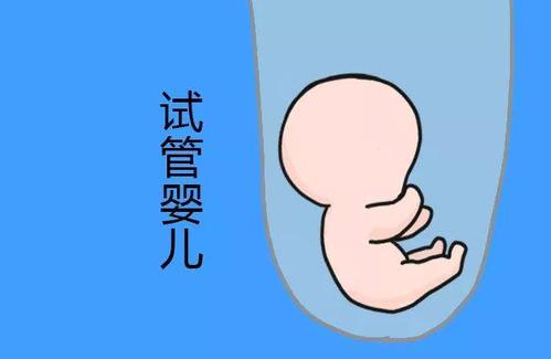 怀代生包成功借卵生子